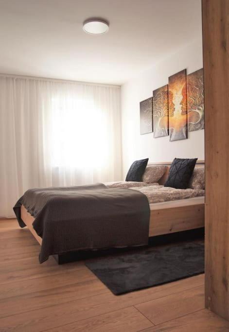 5 Dream Apartment 5 Cu Parcare Privata Oradea Zewnętrze zdjęcie