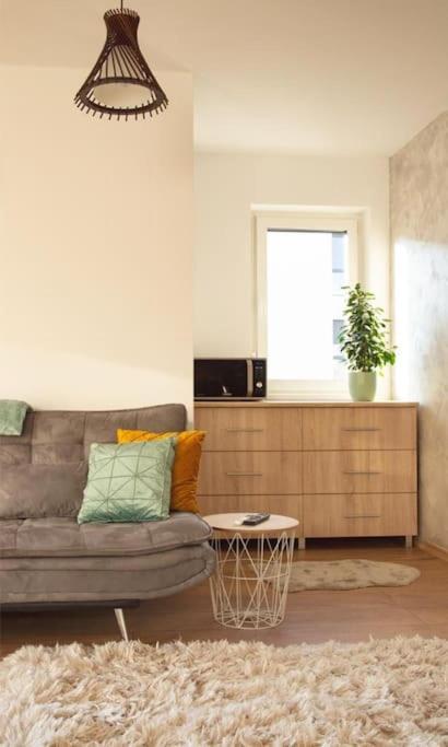 5 Dream Apartment 5 Cu Parcare Privata Oradea Zewnętrze zdjęcie